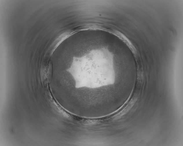 X0000111141385200906301221