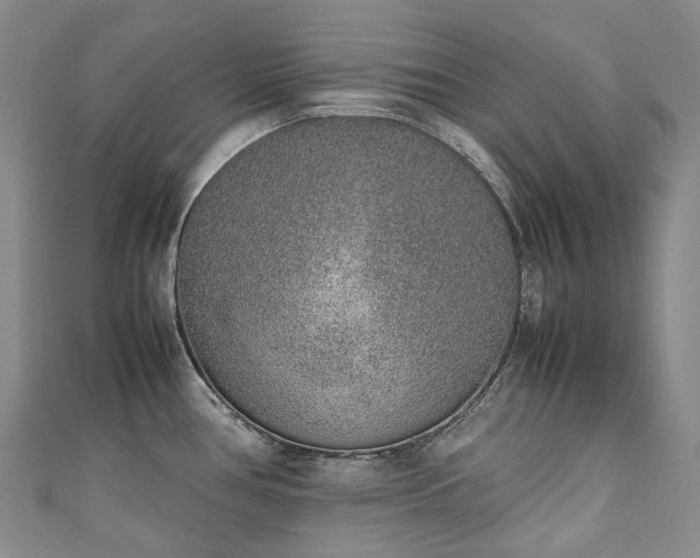 X0000111141386200906301221