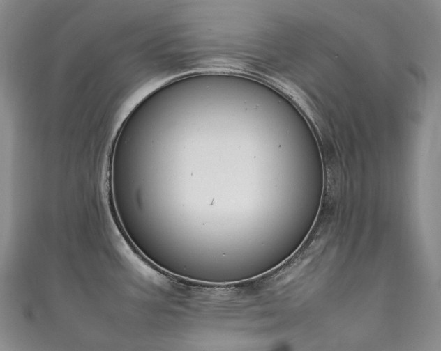 X0000111141387200906301221