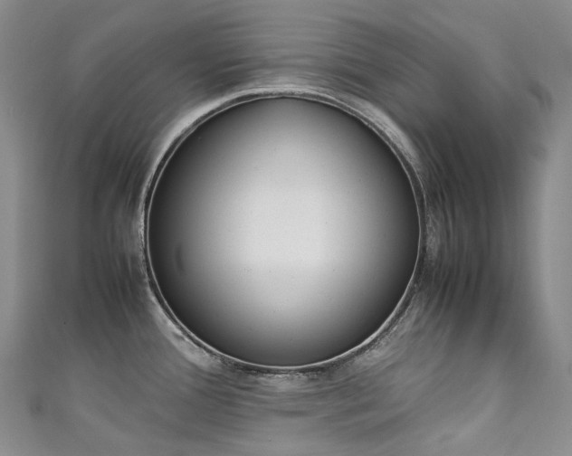X0000111141388200906301221