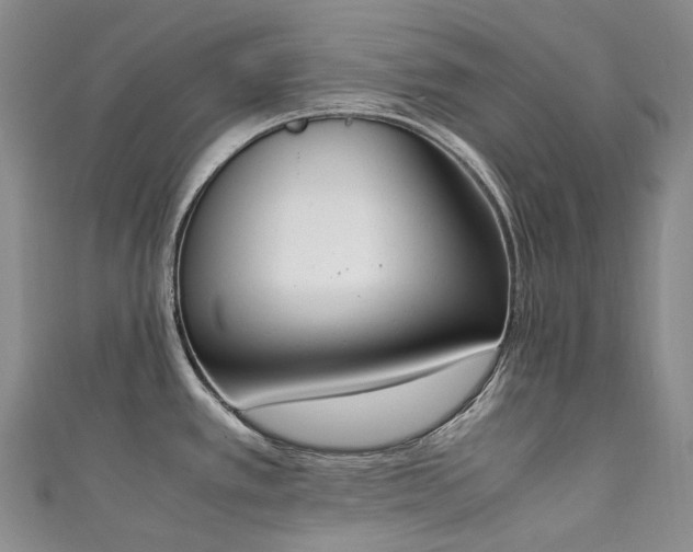 X0000111141389200906301221