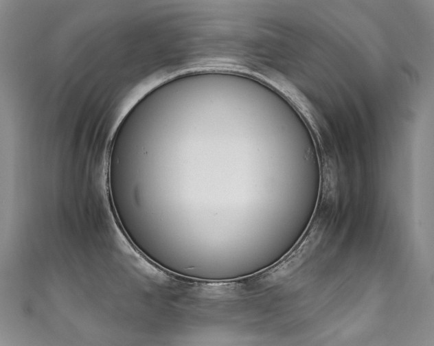 X0000111141390200906301221