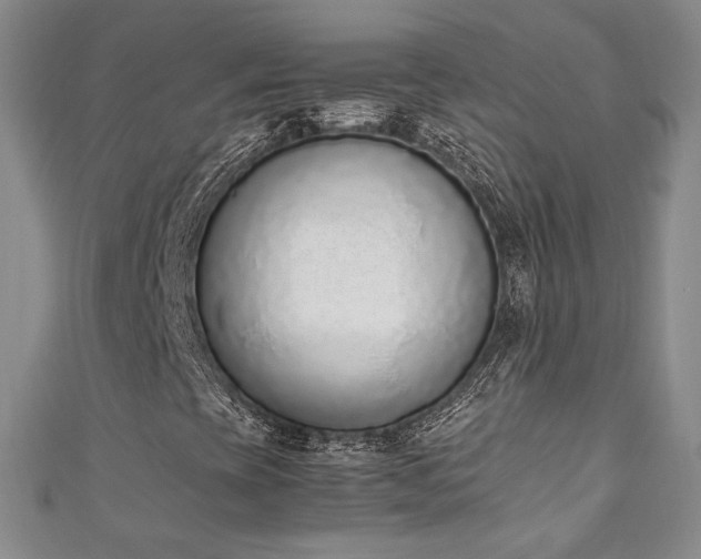 X0000111141393200906301221