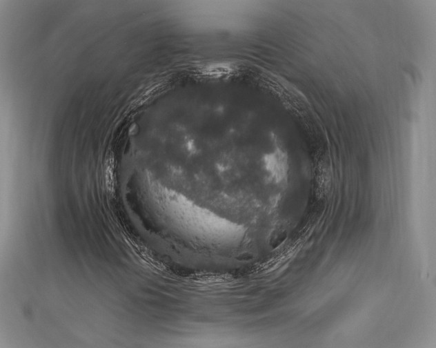 X0000111141394200906301221