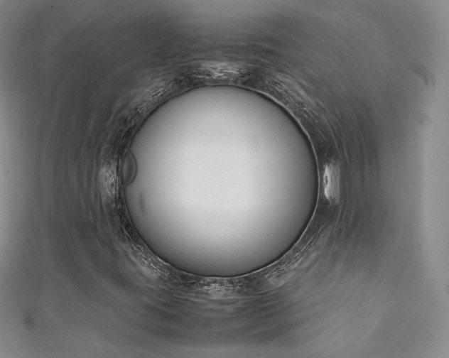 X0000111141395200906301221