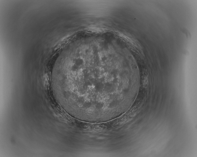X0000111141397200906301221