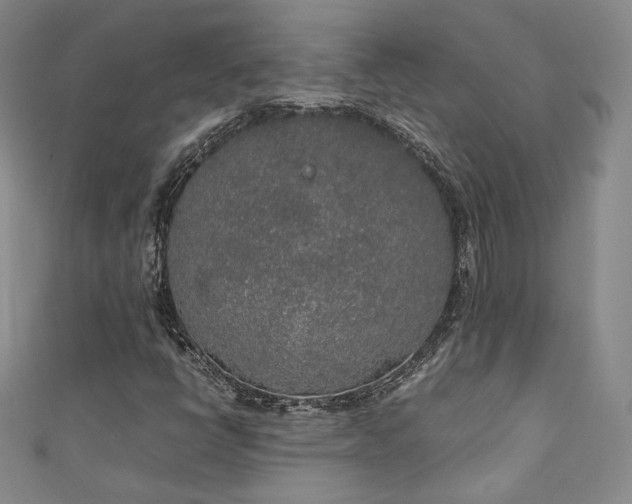X0000111141398200906301221