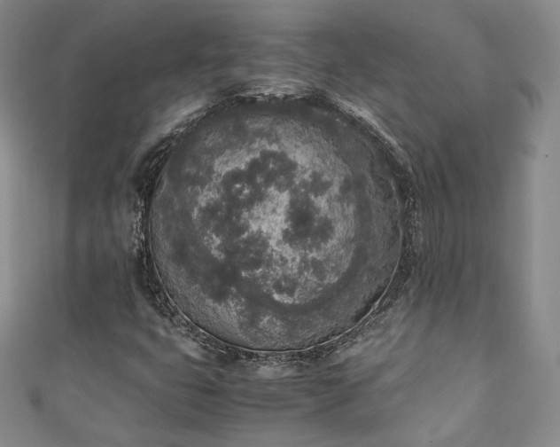X0000111141399200906301221