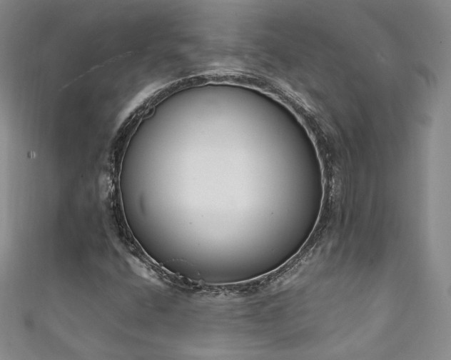 X0000111141400200906301221