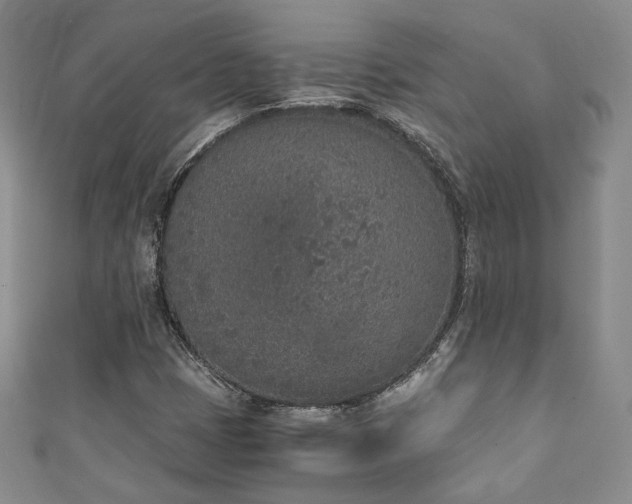 X0000111141401200906301221