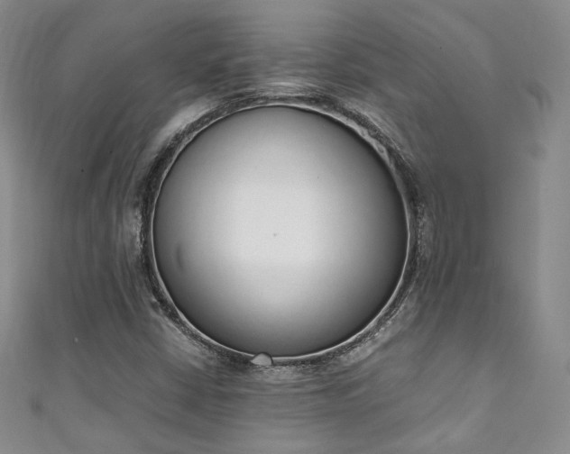 X0000111141402200906301221