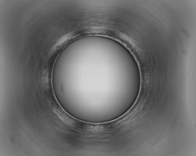 X0000111141403200906301221