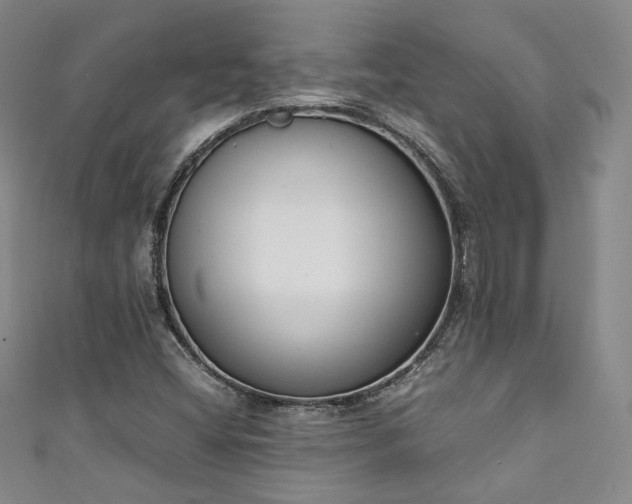 X0000111141404200906301221