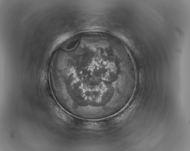 X0000111141405200906301221