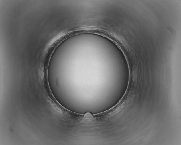 X0000111141406200906301221