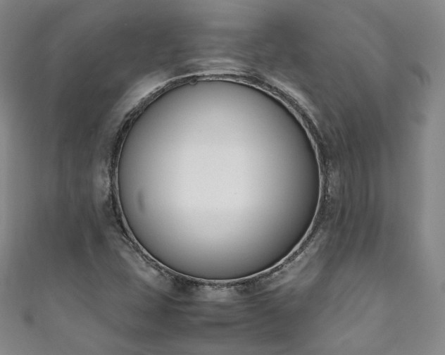 X0000111141407200906301221