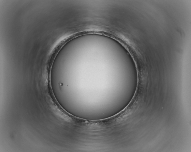 X0000111141408200906301221