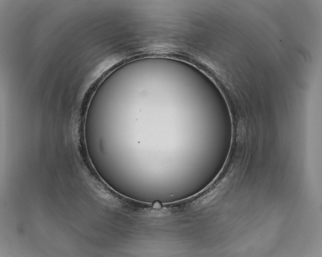 X0000111141410200906301221