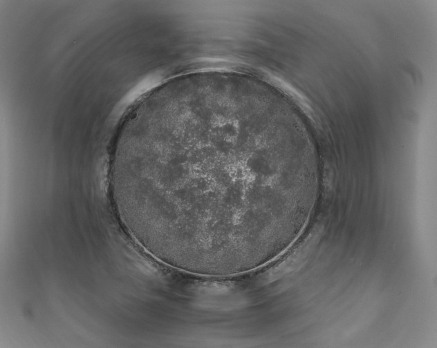 X0000111141411200906301221