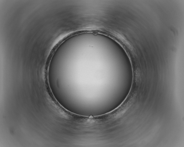 X0000111141412200906301221