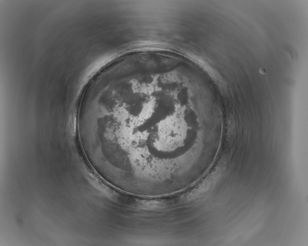 X0000111141413200906301221