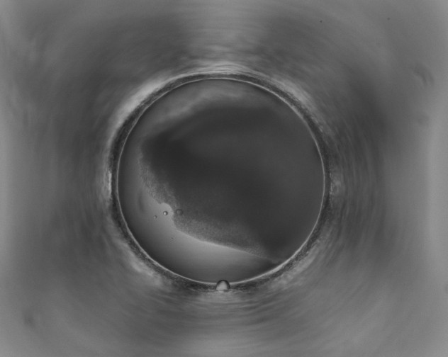 X0000111141414200906301221