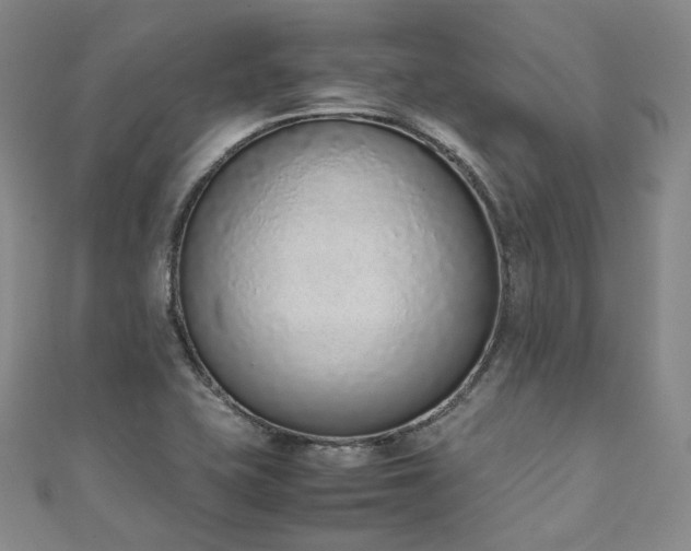 X0000111141415200906301221