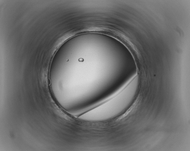 X0000111141417200906301221