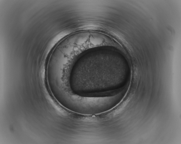 X0000111141418200906301221