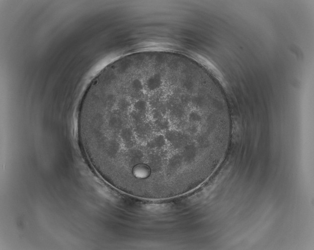 X0000111141419200906301221