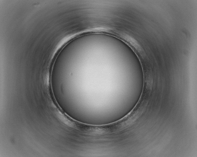 X0000111141420200906301221