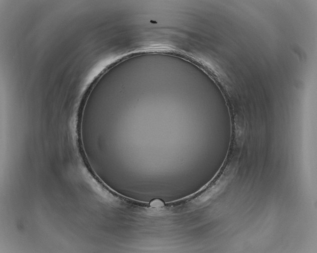 X0000111141422200906301221