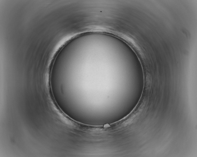 X0000111141424200906301221