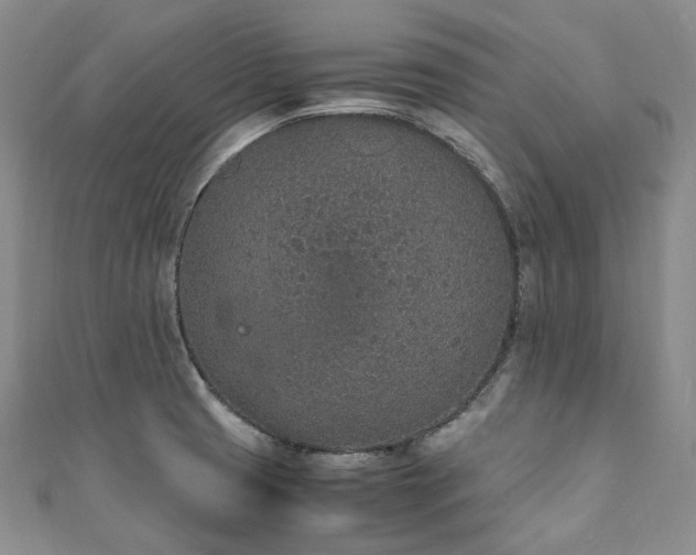 X0000111141425200906301221