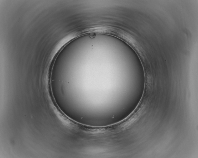 X0000111141426200906301221