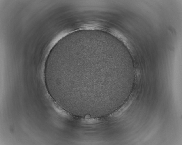 X0000111141427200906301221