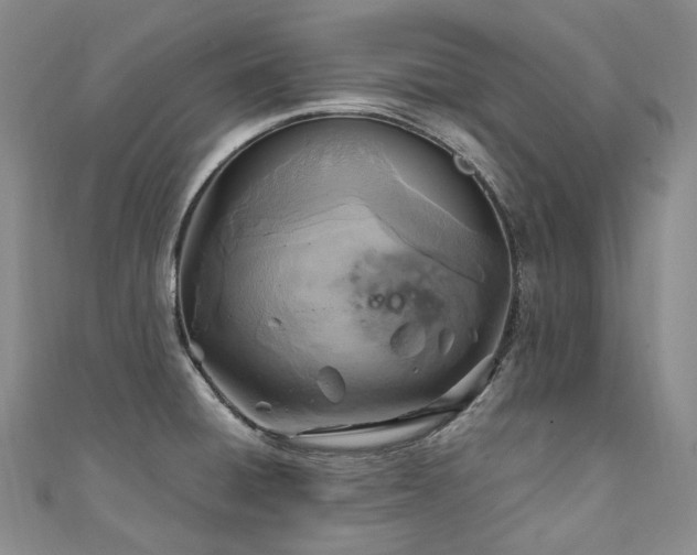 X0000111141428200906301221
