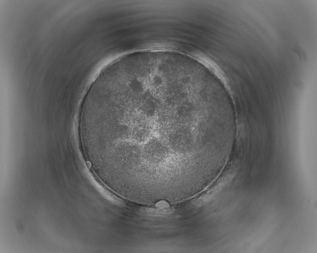 X0000111141429200906301221