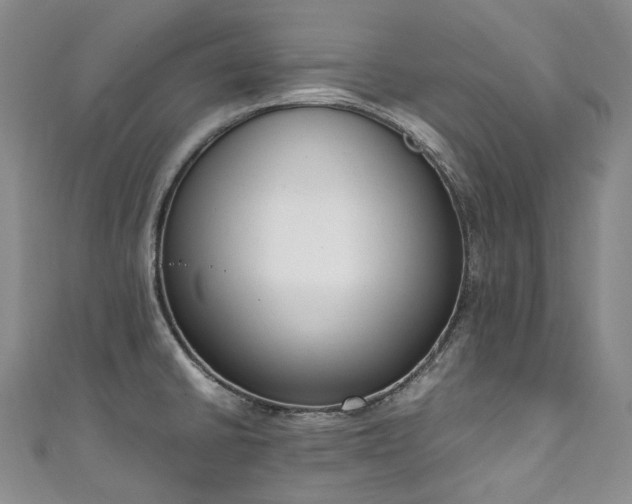 X0000111141430200906301221