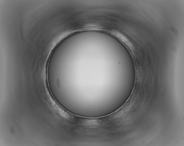 X0000111141431200906301221