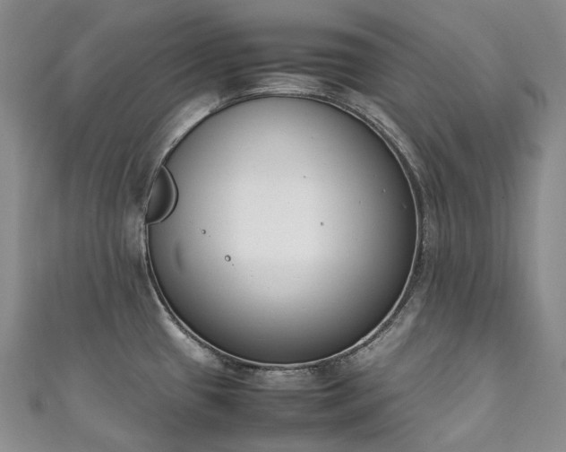 X0000111141433200906301221