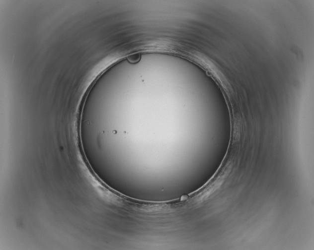 X0000111141434200906301221