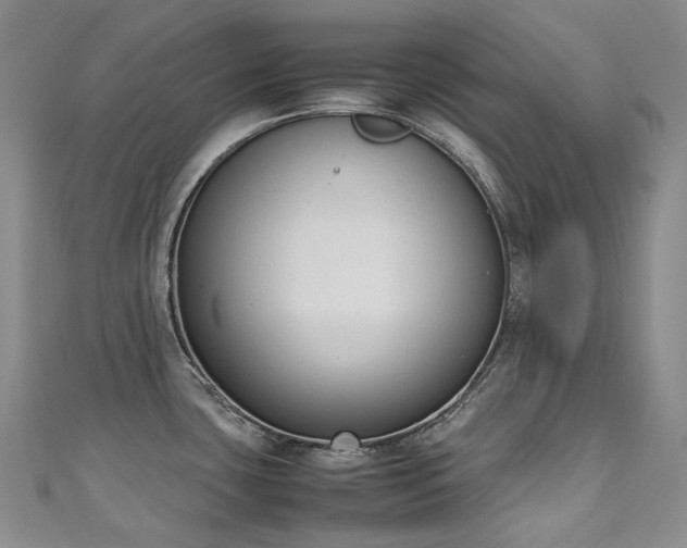 X0000111141435200906301221