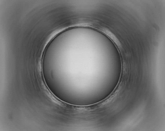 X0000111141436200906301221