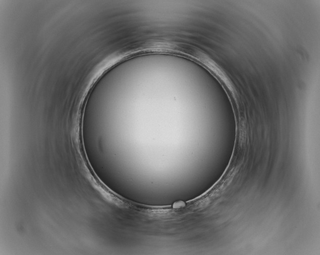 X0000111141437200906301221