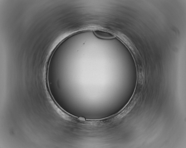 X0000111141438200906301221