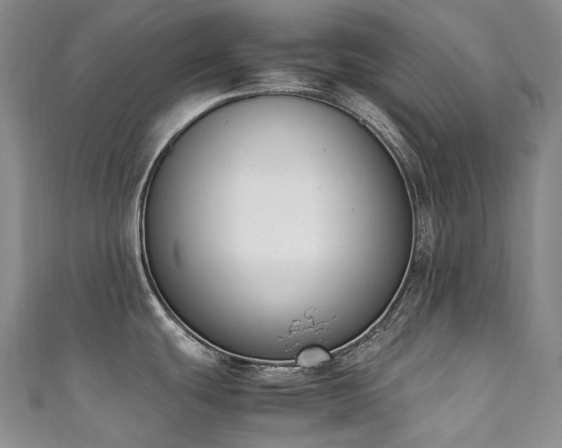 X0000111141439200906301221