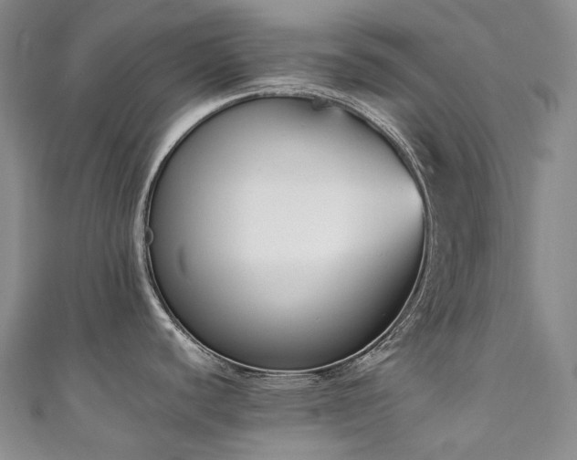 X0000111141440200906301221