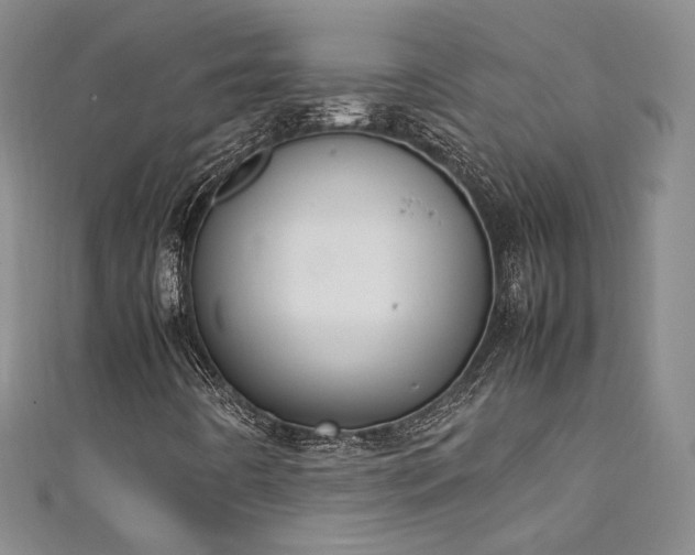 X0000111141442200906301221