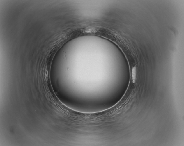 X0000111141443200906301221